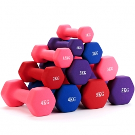 2021 colorful power training equipment hex rubber dumbbell set for women